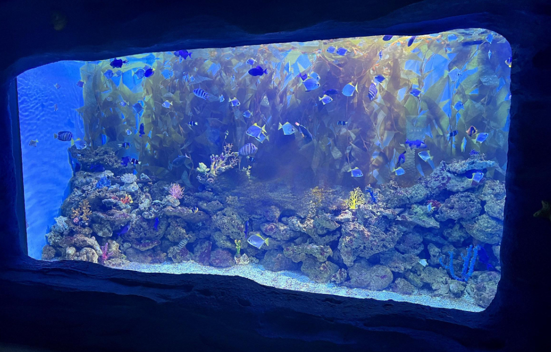 Heavy Duty Thick Cast Acrylic Sheet Large Transparent Panel for Aquarium  Oceanarium Tunnel Underwater Viewing Windows