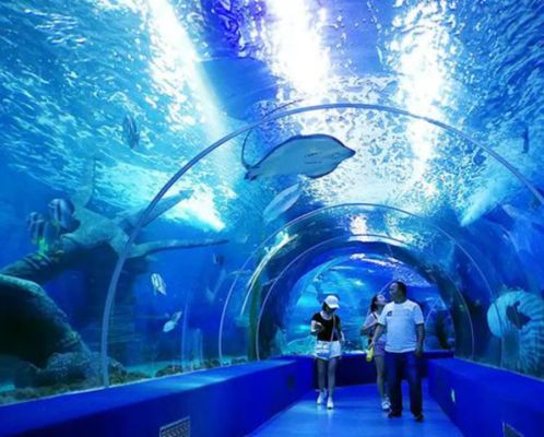 重量型厚い鋳型アクリルシート 水族館のための大きな透明パネル 水深トンネル